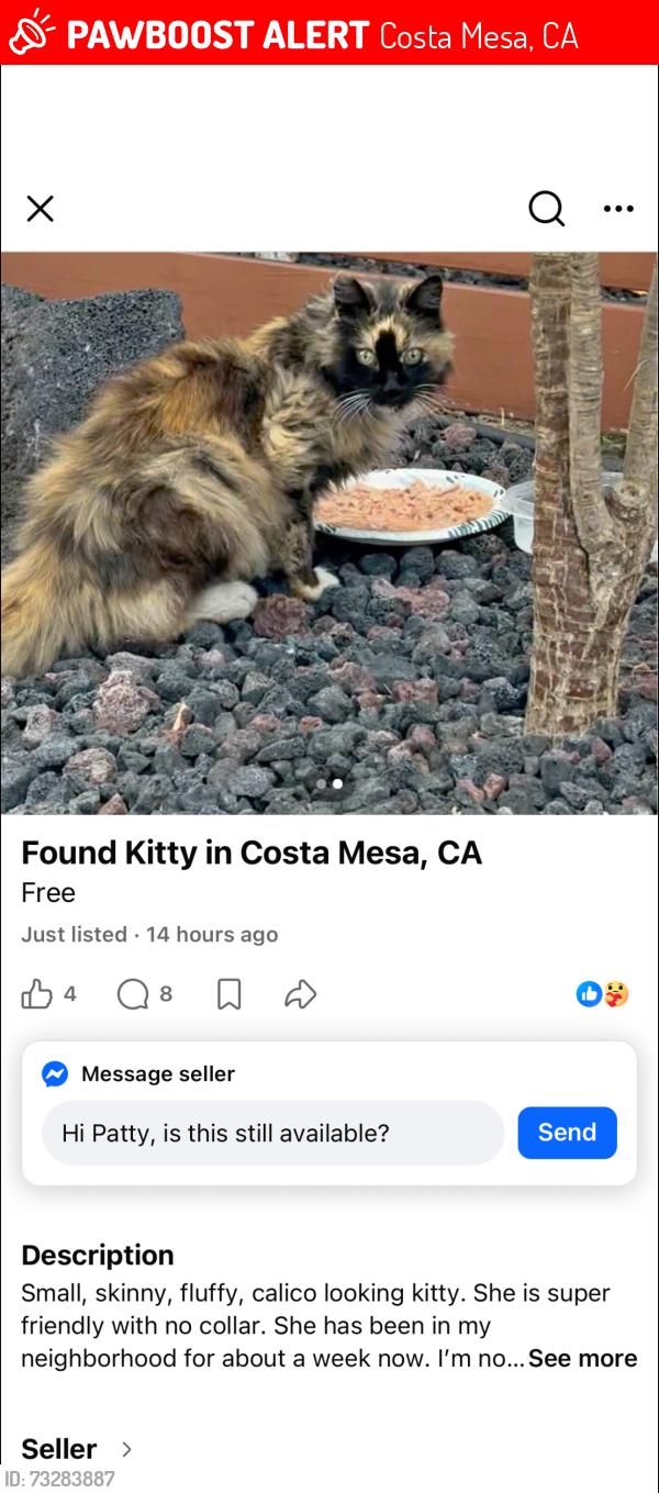 Lost Female Cat last seen bristol and baker, Costa Mesa, CA 92626