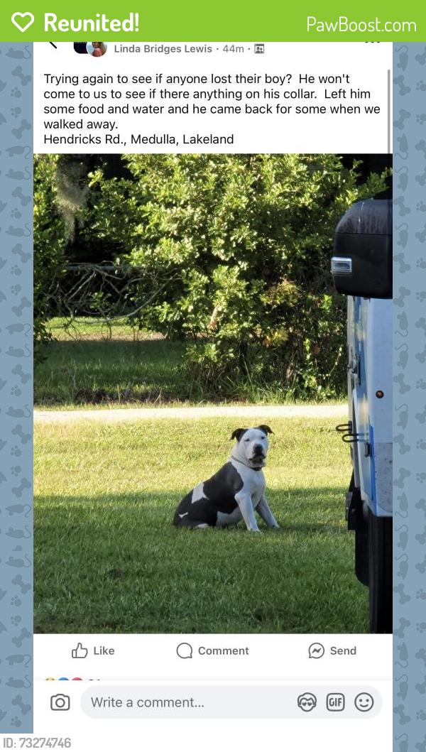 Reunited Male Dog last seen Dog showed up this morning around 7am. Very scared will run if you try to approach. Has been giving food and water. Has not left the area., Lakeland, FL 33811