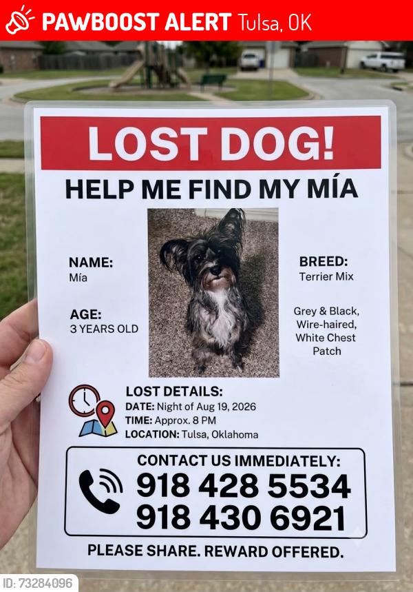 Lost Female Dog last seen Near and memorial, Tulsa, OK 74145