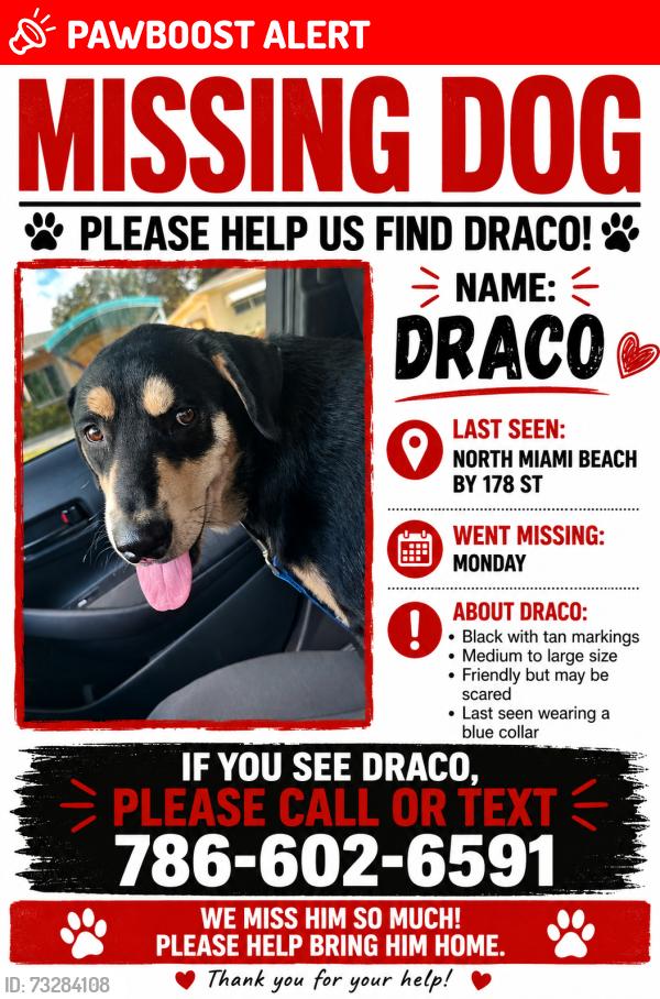 Lost Male Dog last seen LAST SEEN NEAR GREYNOLDS PARK ELEMENTARY, North Miami Beach, FL 33162