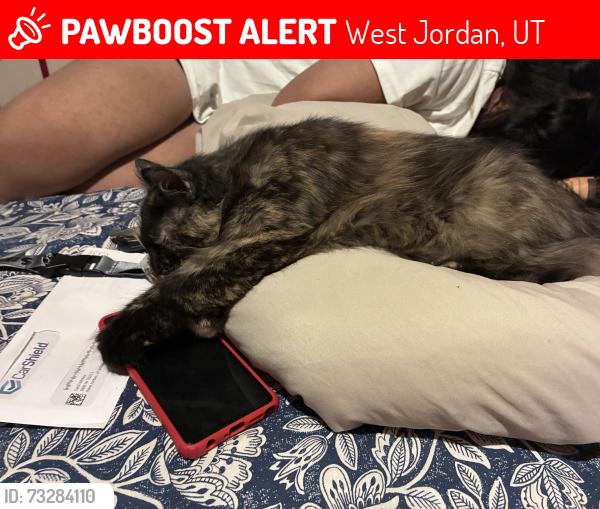 Lost Female Cat last seen Near and 3600, West Jordan, UT 84088