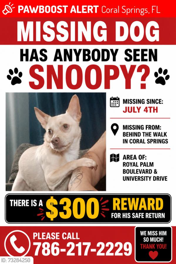 Lost Male Dog last seen Royal palm blvd and university dr, Coral Springs, FL 33065