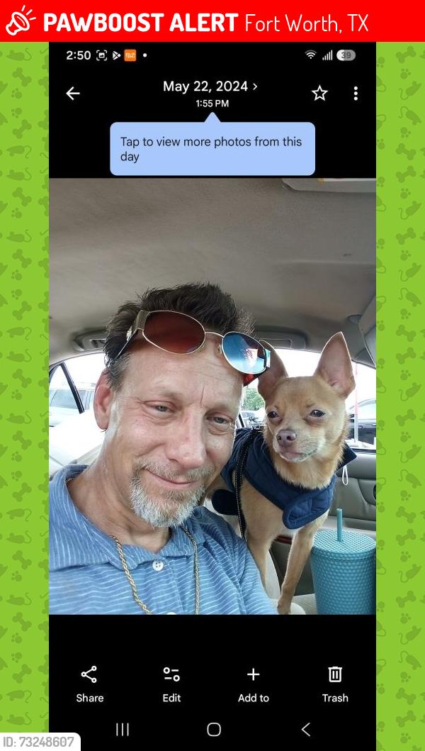 Lost Male Dog last seen Rosedale and I-35 off the train lines for union pacific railway station, Fort Worth, TX 76104