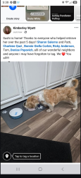 Reunited Female Dog last seen Clinton Road and Padadena Road at 810 am on Aug/17., Dade City, FL 33525