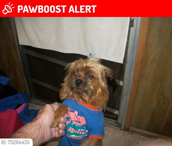 Lost Male Dog last seen Near hesskett ln, Keystone Heights, FL 32656