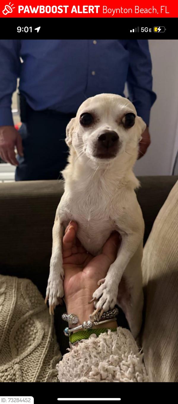 Lost Male Dog last seen Waterchase west running into La polais near the canal, Boynton Beach, FL 33472