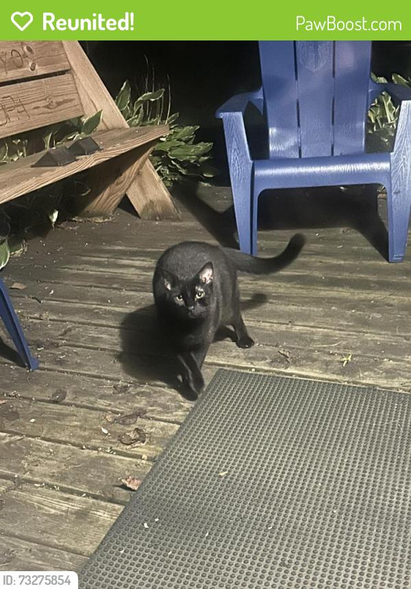 Reunited Unknown Cat last seen Lake waubesa and lake farm park area, Madison, WI 53711