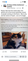 Lost Female Cat last seen Chapel creek blvd, Fort Worth, TX 76108