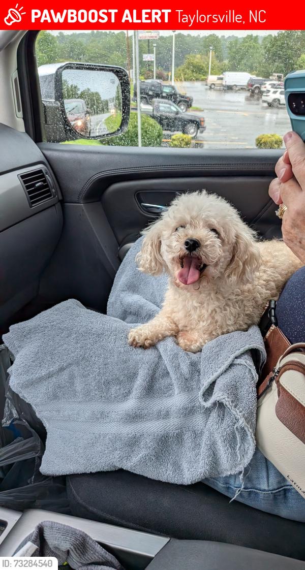 Lost Female Dog last seen Rink Dam Road /Riverhills Court, Taylorsville, NC 28681