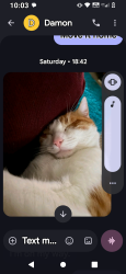 Lost Male Cat last seen Leach hwy and moolyeen Brentwood, Brentwood, WA 6153