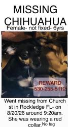 Lost Female Dog last seen Church st and fiske blvd or church st and alspur dr, Rockledge, FL 32955