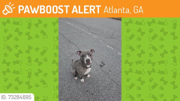 Found/Stray Male Dog last seen Williamson and Heritage in Mount Vernon Woods, Atlanta, GA 30328