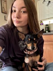 Lost Female Dog last seen PECOS AND HAMILTON NEAR AZ AVE, Chandler, AZ 85286
