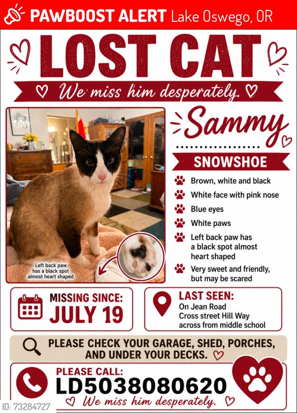 Lost Male Cat last seen Shallots and Jean Road Lake Oswego OR, Lake Oswego, OR 97035