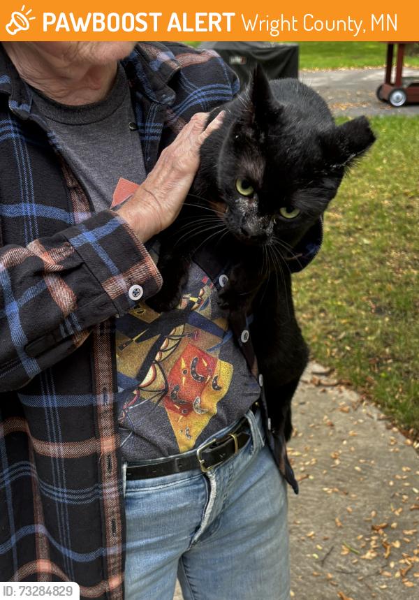 Found/Stray Female Cat last seen Area of Crow Springs Park Canoe Access, Wright County, MN 55328