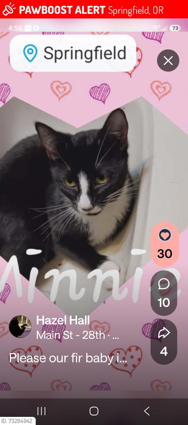 Lost Female Cat last seen Main st Springfield, Springfield, OR 97477