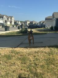 Found/Stray Unknown Dog last seen Lazy canyon, San Antonio, TX 78252