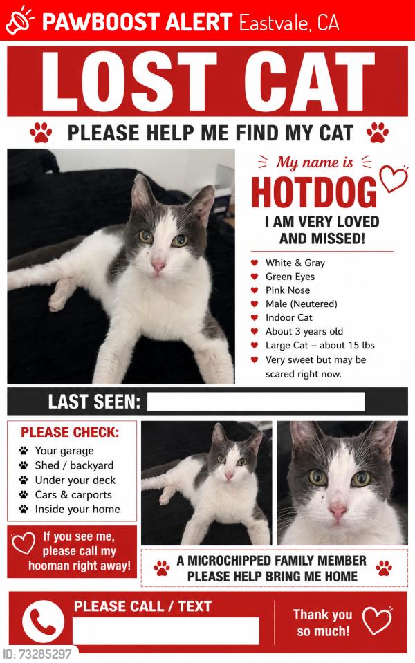 Lost Female Cat last seen Forest wood, Eastvale, CA 92880
