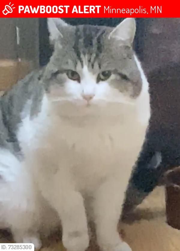 Lost Male Cat last seen 43rd & Girard Ave N, Minneapolis, MN 55412