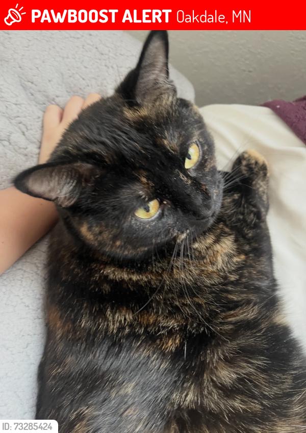Lost Female Cat last seen Richard Walton Park, Oakdale, MN 55128