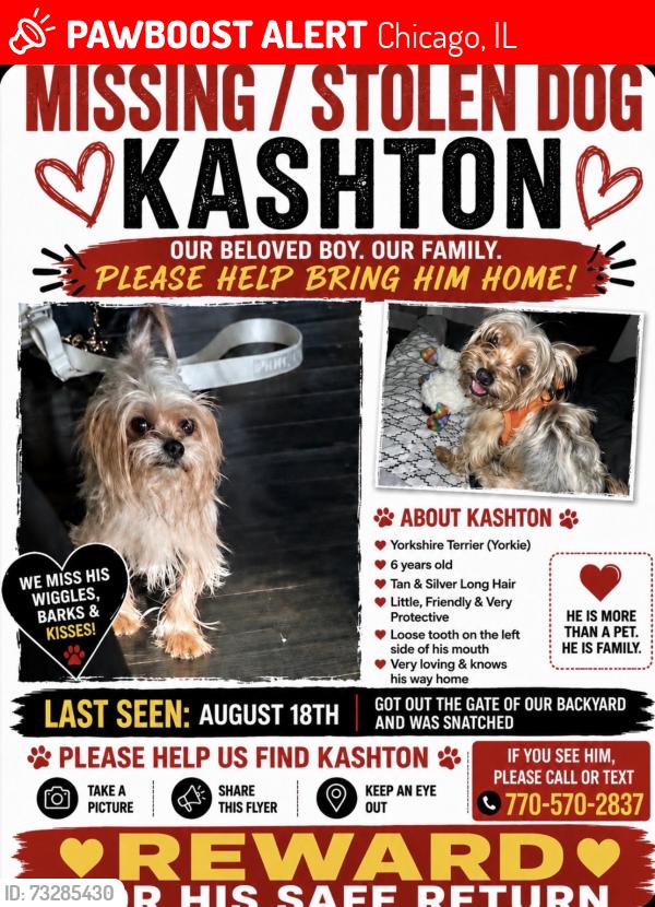 Lost Male Dog last seen 74th and yates, Chicago, IL 60649