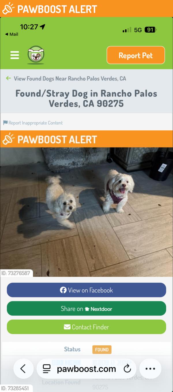 Found/Stray Unknown Dog last seen Westmont in the Gardens cndmnium, Rancho Palos Verdes, CA 90275