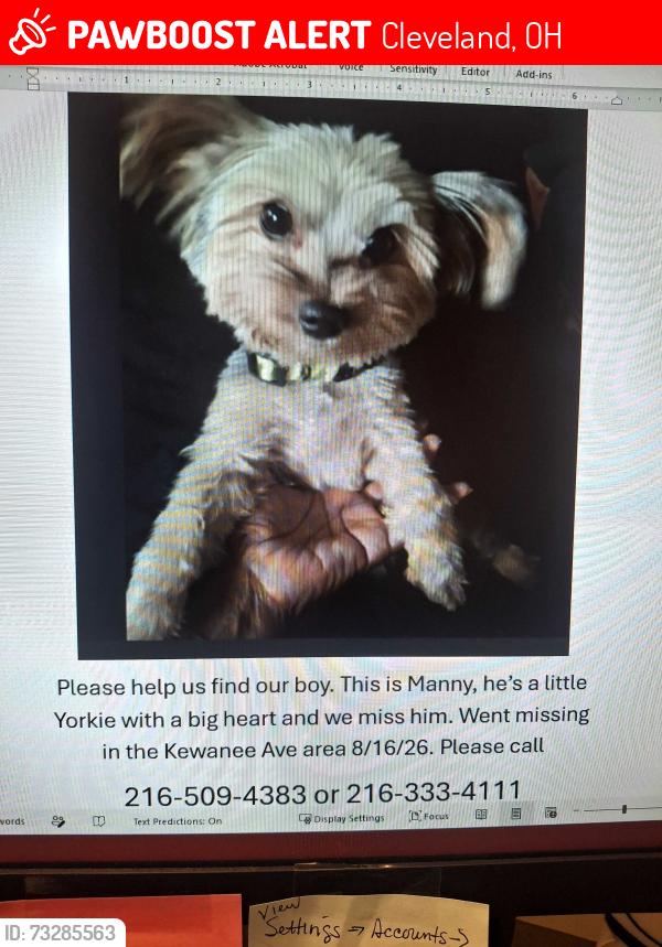 Lost Male Dog last seen E200th st lakeshore, Cleveland, OH 44119