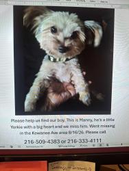 Lost Male Dog last seen E200th st lakeshore, Cleveland, OH 44119