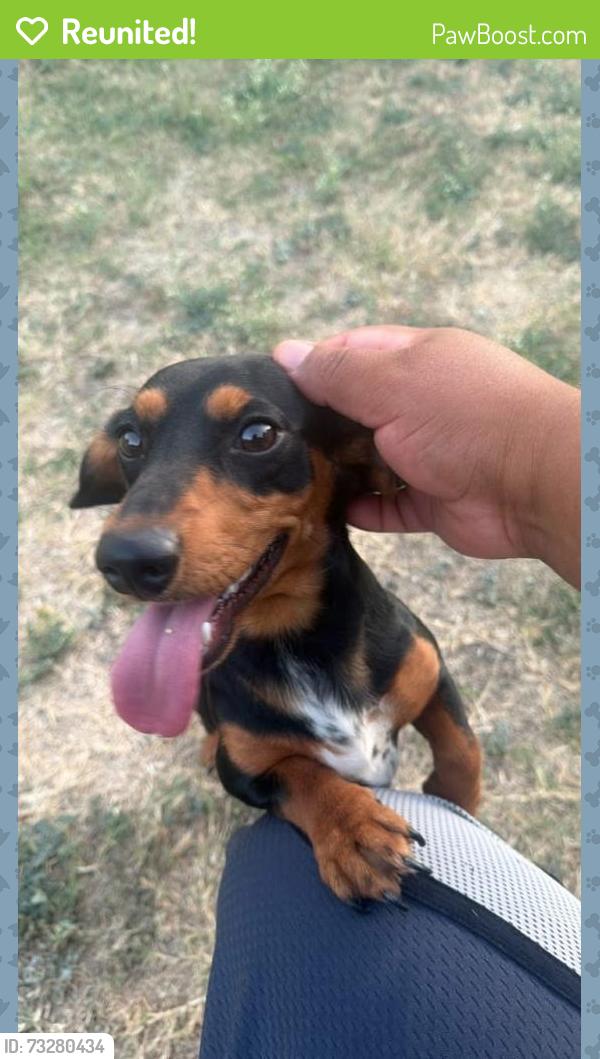 Reunited Male Dog last seen Baker y Mississippi, Fort Worth, TX 76119