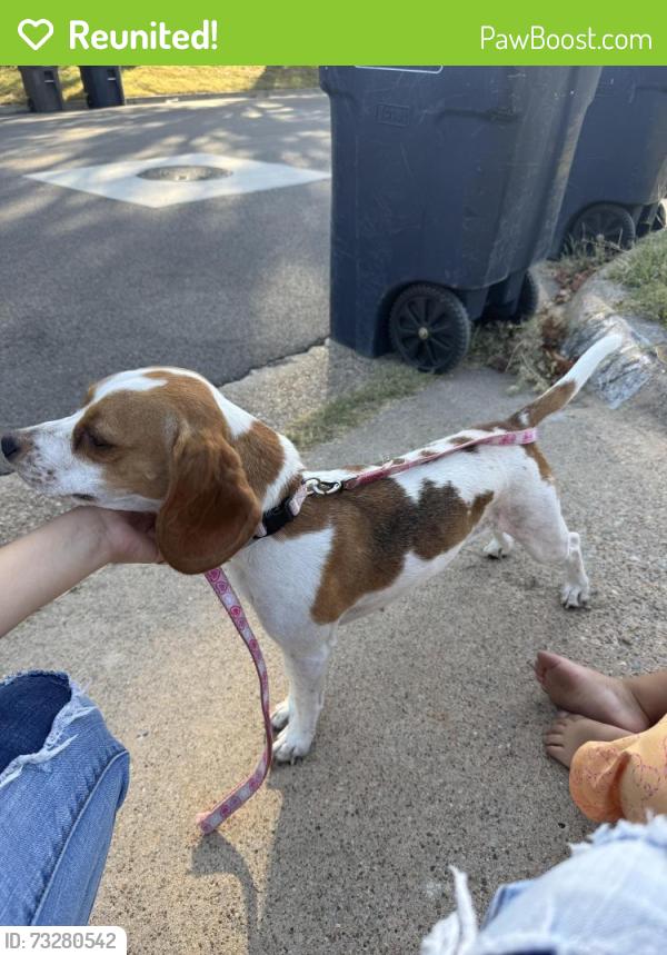 Reunited Female Dog last seen Found on Powderhorn, Fort Worth, TX 76108