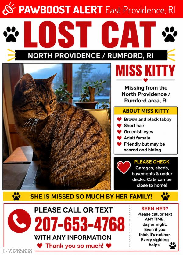 Lost Female Cat last seen Don Avenue Rumford RI, East Providence, RI 02916