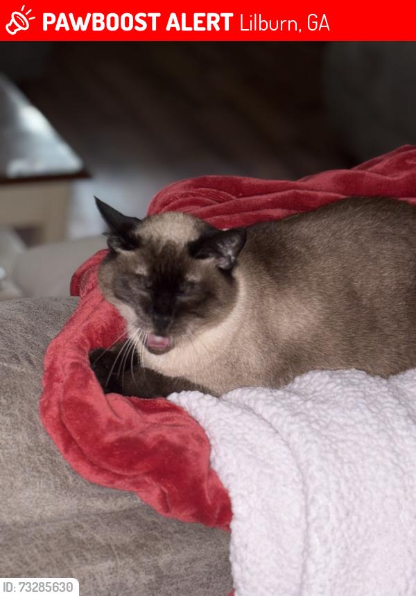 Lost Female Cat last seen Near Therrell Ln Nw, Lilburn, GA 30047