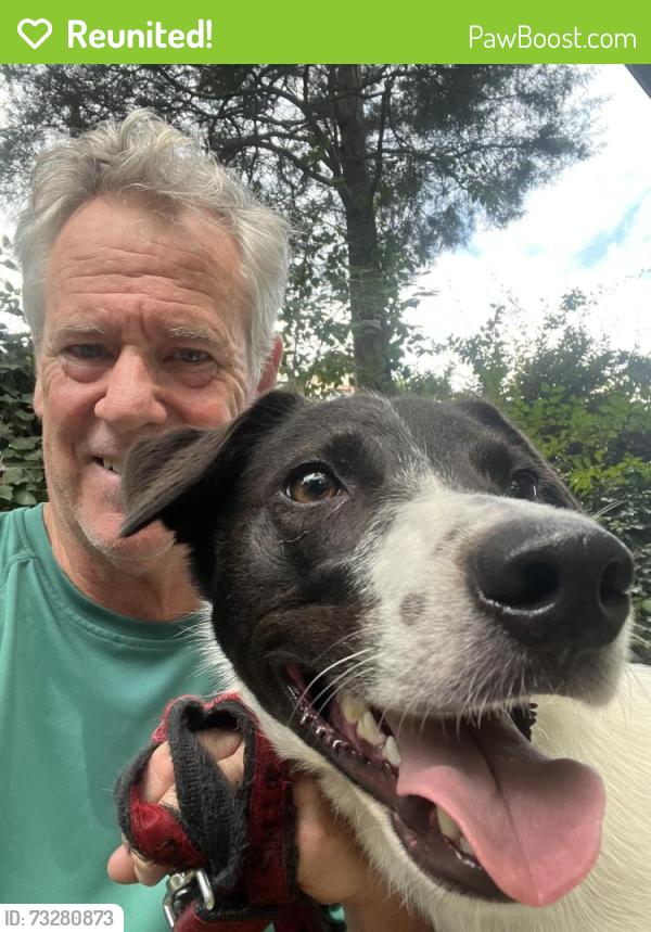 Reunited Male Dog last seen 14th street and Colorado, Washington, DC 20011