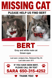 Lost Male Cat last seen Oak Ave, Redwood City, CA 94061