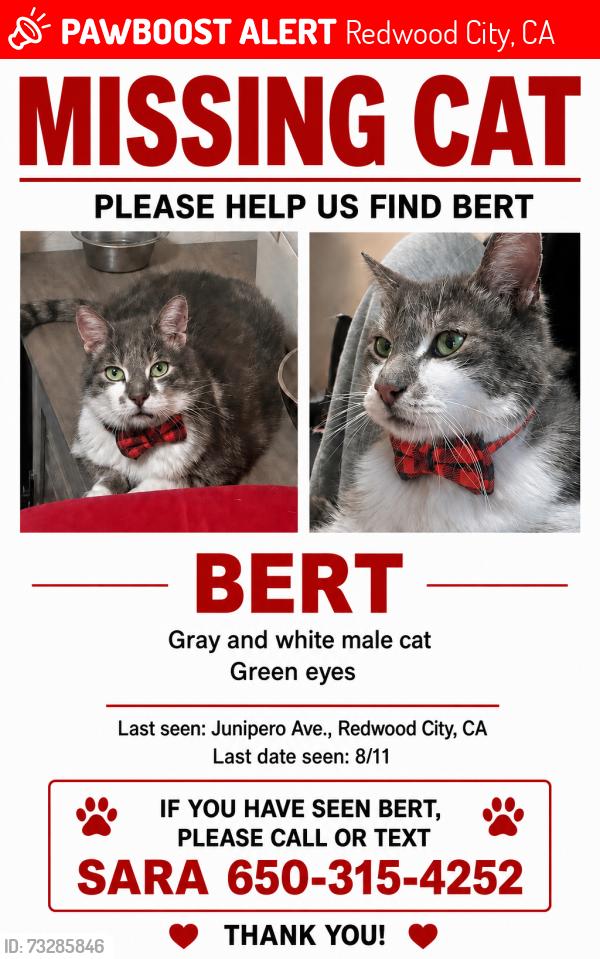 Lost Male Cat last seen Oak Ave, Redwood City, CA 94061