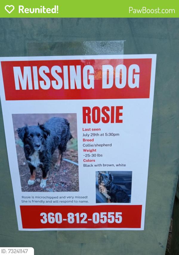 Reunited Female Dog last seen E.Kellog/Meridian, Bellingham, WA 98226
