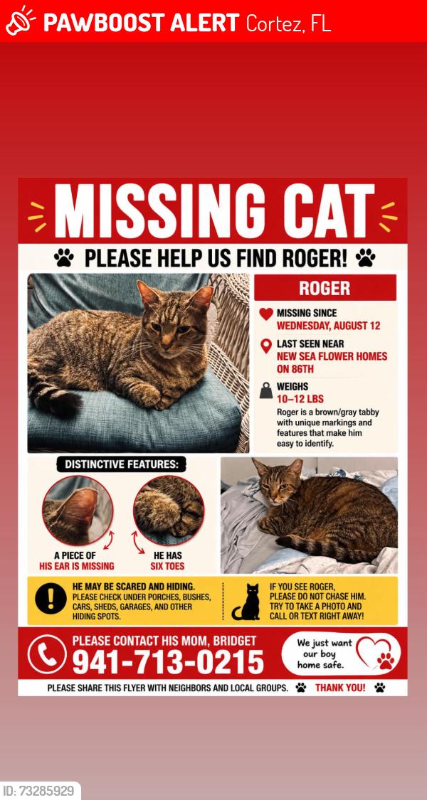 Lost Male Cat last seen Seaflower, Cortez, FL 34210