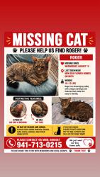 Lost Male Cat last seen Seaflower, Cortez, FL 34210