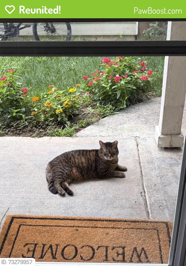 Reunited Male Cat last seen Archdale, Durham, NC 27707