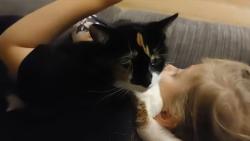 Lost Female Cat last seen Morecambe gt, Toronto, ON M1W 2T4