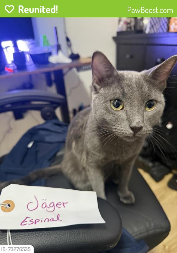 Reunited Male Cat last seen Near cooper st, Brooklyn, NY 11237