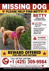 Lost Female Dog last seen Silver Dollar Casino Mill Creek at 17917 Bothell-Everett Hwy., Bothell, WA 98012