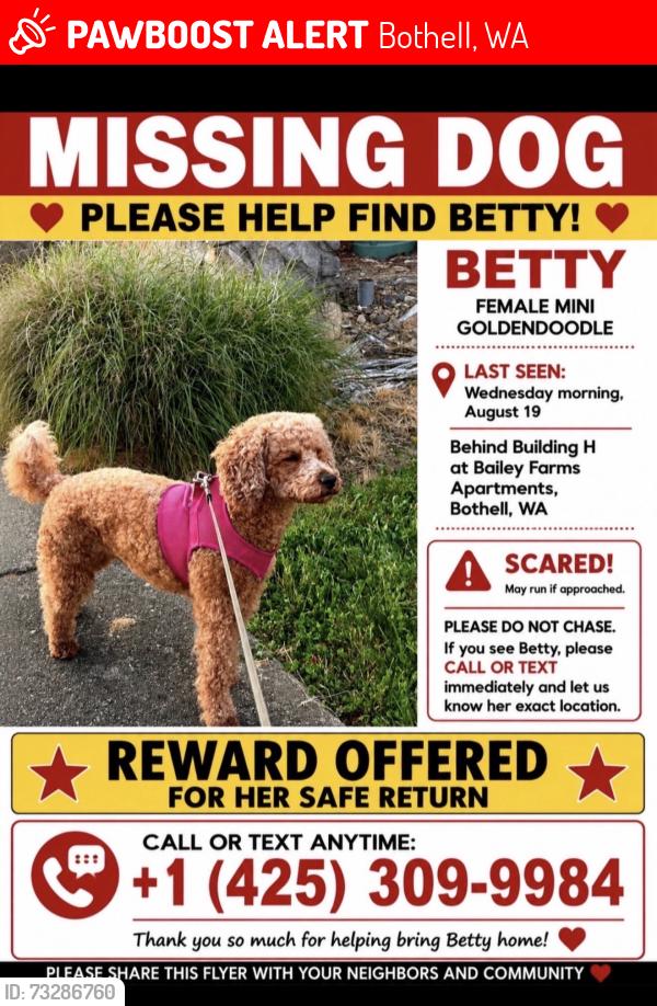 Lost Female Dog last seen Silver Dollar Casino Mill Creek at 17917 Bothell-Everett Hwy., Bothell, WA 98012