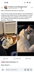 Lost Male Cat last seen Cv5 6gh, Earlsdon, England CV5 6GH