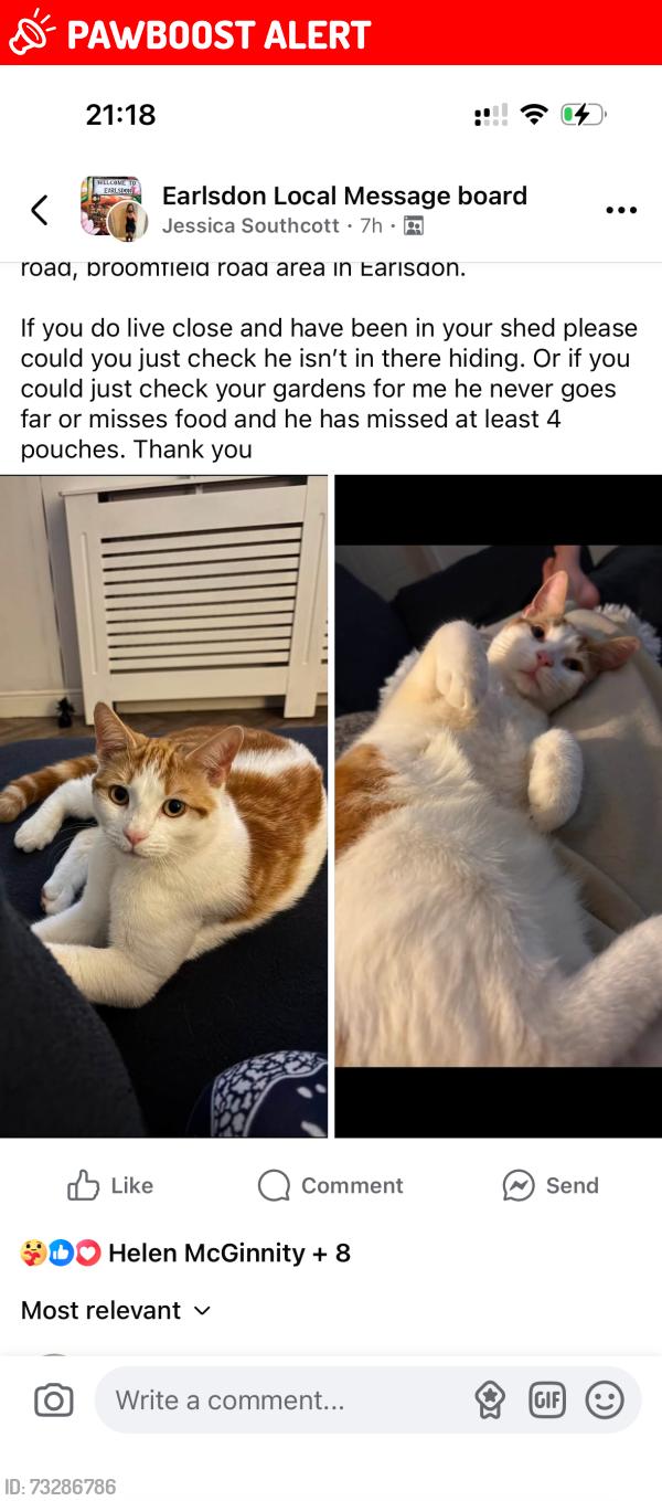 Lost Male Cat last seen Cv5 6gh, Earlsdon, England CV5 6GH