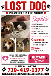 Lost Female Dog last seen Powers and Platte, Colorado Springs, CO 80916