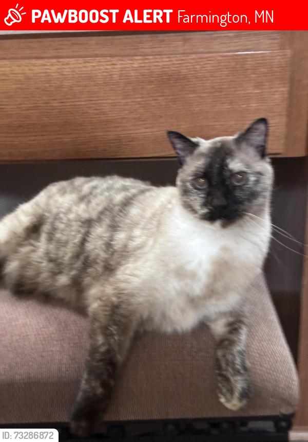Lost Female Cat last seen Embers Ave and 198th St. W., Farmington, MN 55024