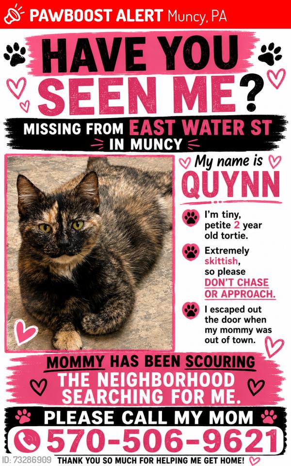 Lost Female Cat last seen Near East Water St Muncy, Muncy, PA 17756