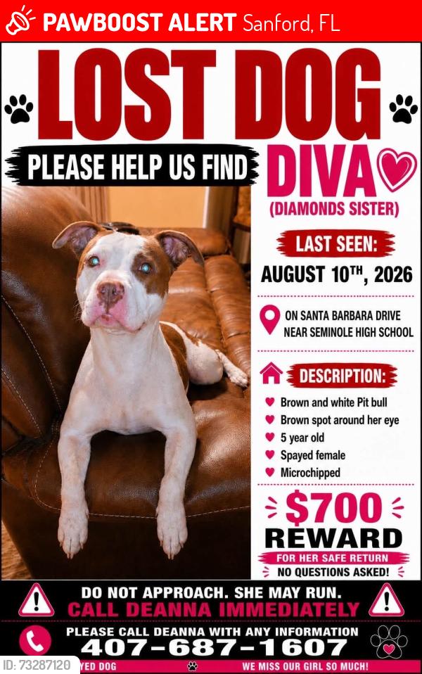 Lost Female Dog last seen El capitain, Sanford, FL 32773