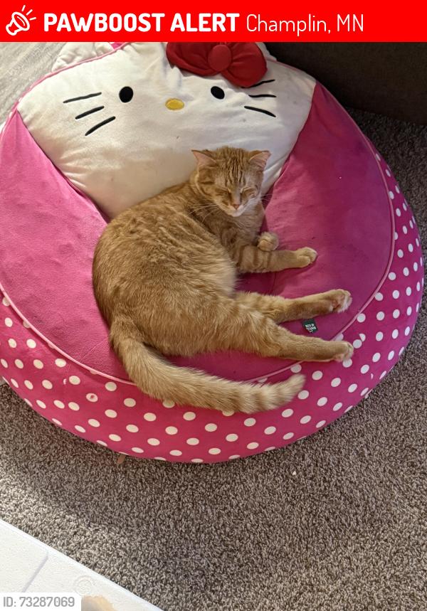 Lost Male Cat last seen Near th ave, Champlin, MN 55316